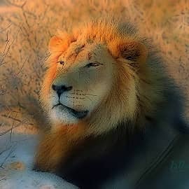 Животные 089