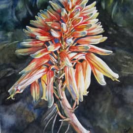 Цветок алоэ