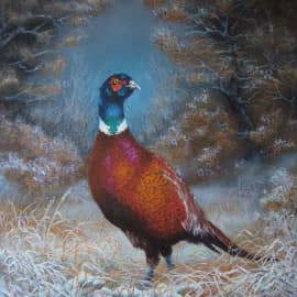 Всюду иней серебрится