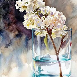 -сиренька- redraw 2015.gemini.