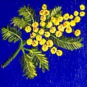 Минимоза (2), художник Людмила Соболь