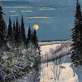 Лунная ночь на Вычегде