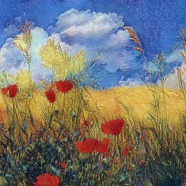 Маки в поле.