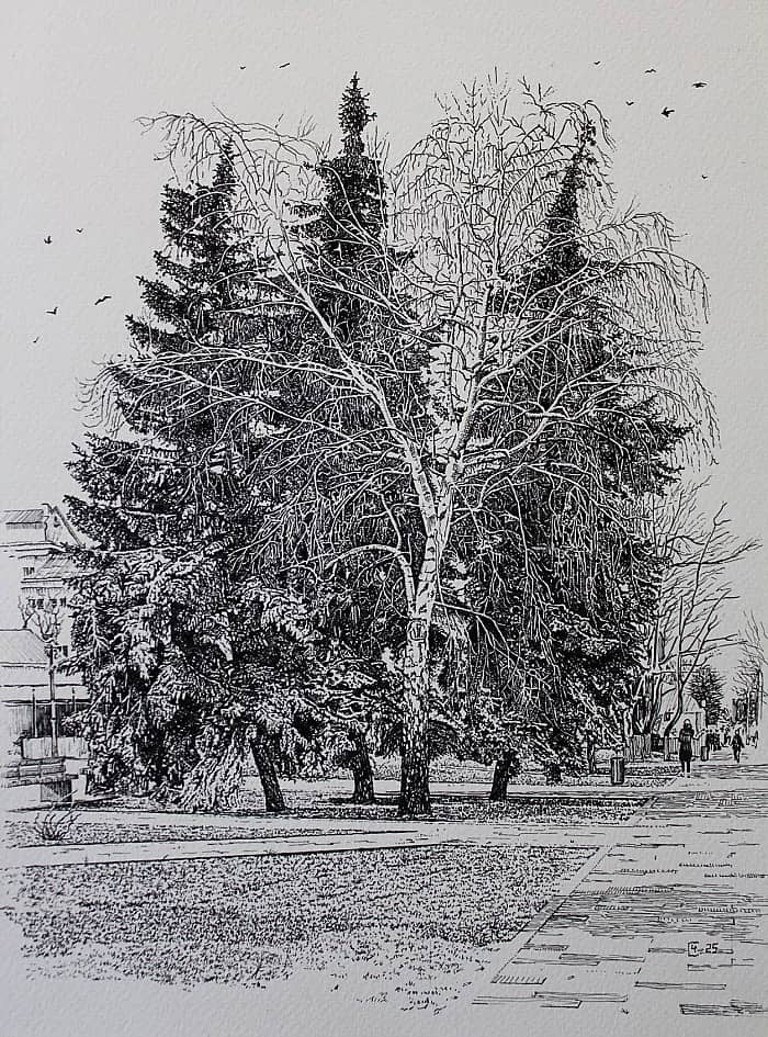 Деревья в городе