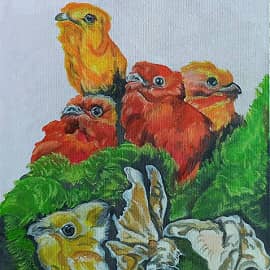 Сон о птицах.Пробуждение.