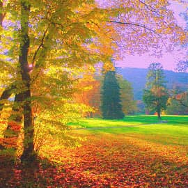 В солнечном свете.