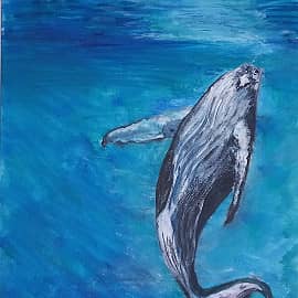 Кит танцует