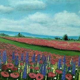 Маковое поле