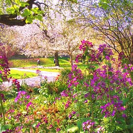 Весенние деньки.