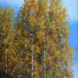 Близкая осень   Autumn is coming