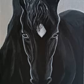 Чёрный конь