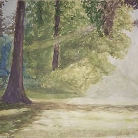 ИЮНЬСКИЙ СВЕТ.