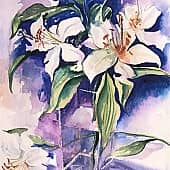 Акварель Белые лилии