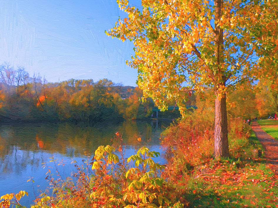 Солнечный день.