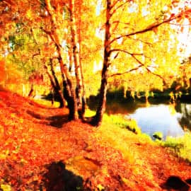 Солнечный день.