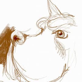 Пёсья морда