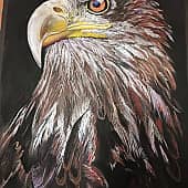 Король неба