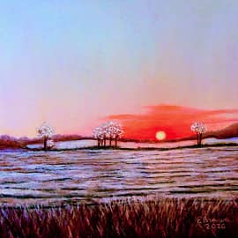 Восход солнца в полях 19 января