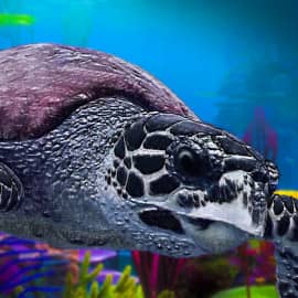 Подводный мир 011