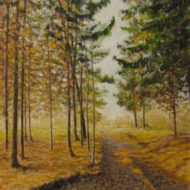 "Елки палки"