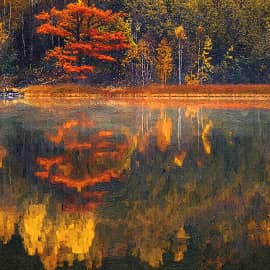 осень в зеркале