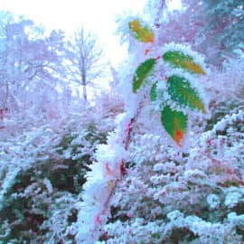 Замёрзли на ветру