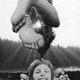 Дитя лета  Child of summer