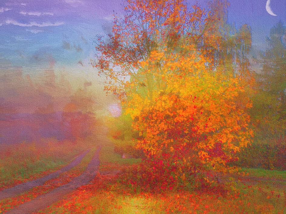 Дорога в туман.