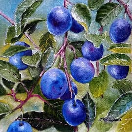 На ветке. Сливы.