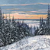 "В стужу зимнюю..."