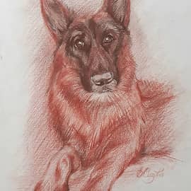 Марта Заказ Сангина, сепия