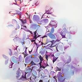 Веточка сирени