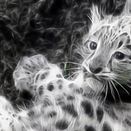 Высоко залез, далеко вижу