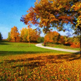 Осенние дорожки.