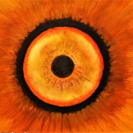 " ВСЕВИДЯЩЕЕ ОКО"