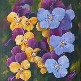 Пятигорская виола