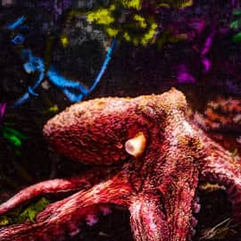 Подводный мир 017