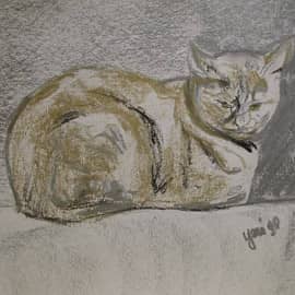 "Золотой кот"