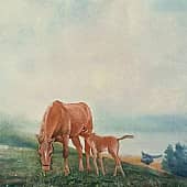 Ранним утром...