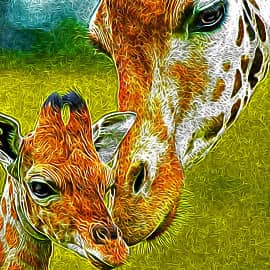 Новорождёный