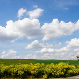 Одиночество