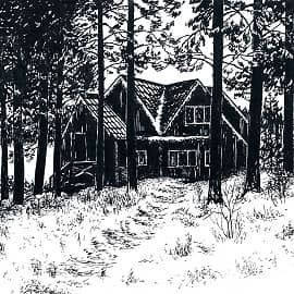 Среди зимы 41  Among the Winter 41