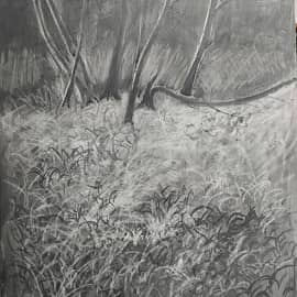 без названия 11