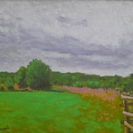 Тверская обл, этюд