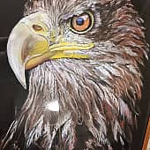 Король неба