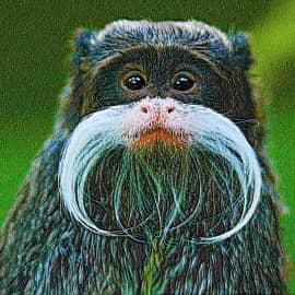 Животные 002