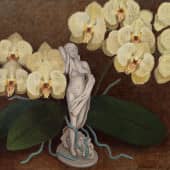 Пленительная орхидея.