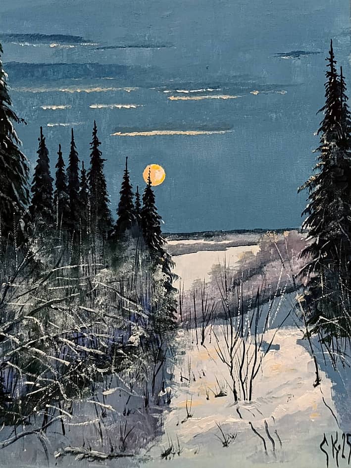 Лунная ночь на Вычегде