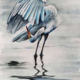 Цапля в воде