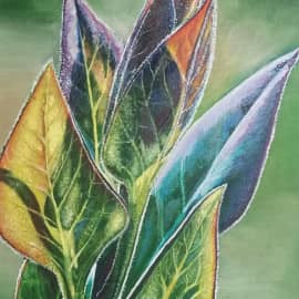 Игривые листья